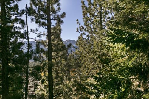 Mammoth Village Properties by 101 Great Escapes - image 3