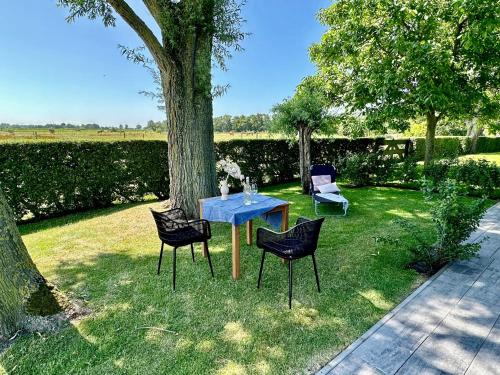 สวน, Vakantiewoning Skuur Bergen in แคมเพอร์ไดน์