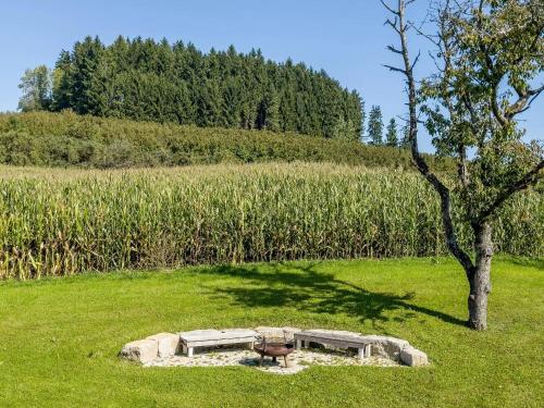 Ferienwohnung Buchmann