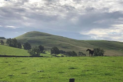 The Homestead - Modern cottage in a stunning Peak District setting - Ashbourne