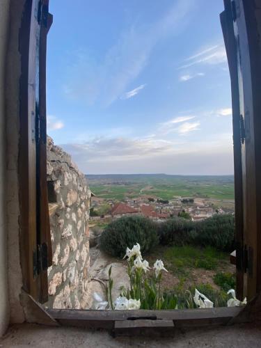 Cueva „Vista”