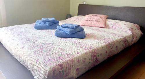 La Casa Di Barbanella - Grosseto