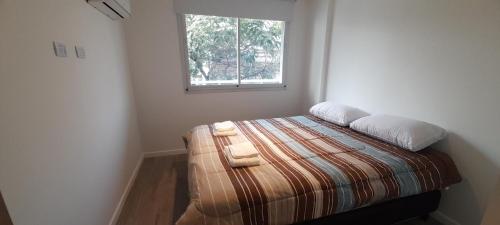 One-Bedroom Apartment image 10