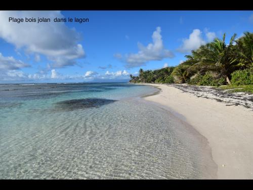 Soley Bungalows Villa Carambole 2 pers Adult only in Sainte Anne