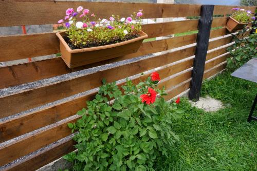 Cottage Caucasus Cottage Caucasus