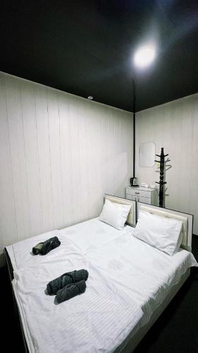 Hostel 24/7