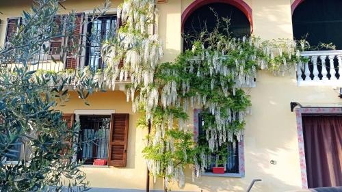 LA CASA DEI MASUE' 4