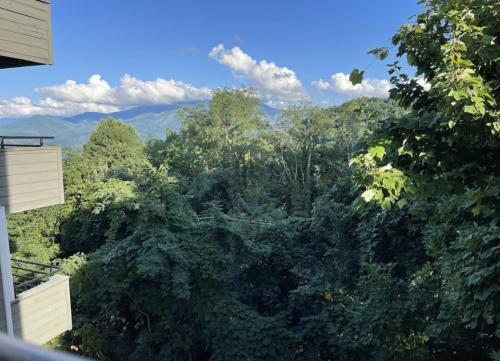 Mountain Top Adventure Condo in Gatlinburg, USA