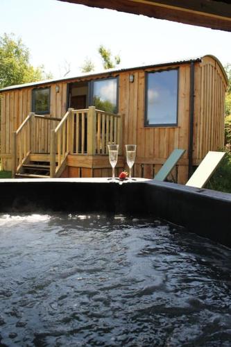 Pembrokeshire Shepherd hut with hottub - Trecwn