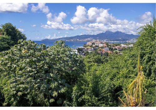 Anthurium, Superbe haut de villa F3 proche plage, Anse Mitan 4