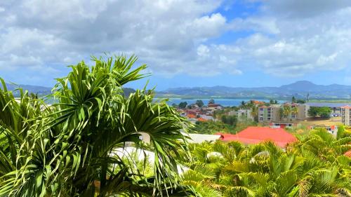 Ti Bonheur Ti Bonheur