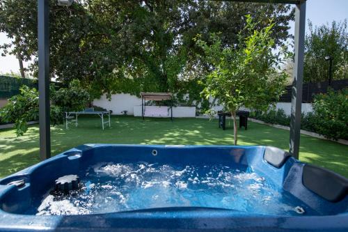 Villa Alex with private pool and jacuzzi