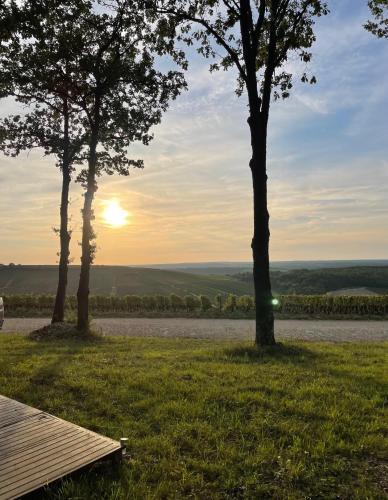 L'Envolée Ecolodge, tiny house au coeur des vignes