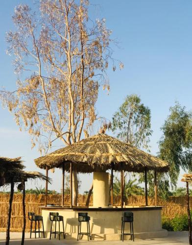 Facilities, Gazrashek Siwa Hot spring& trips Haven in Siwa