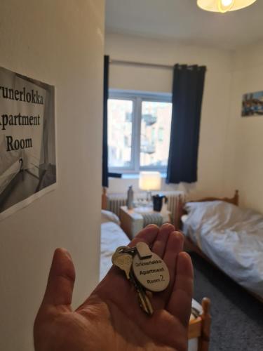 Private room in to roomsapartment (Grunneløkka), Oslo (foto 5)