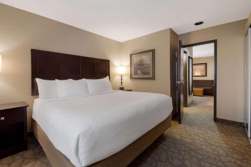 One-Bedroom King Suite with Sofa Bed and Wet Bar
