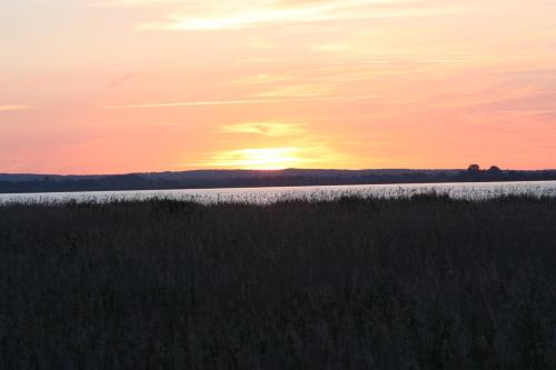 Ferienwohnungen Dümmersee - Familie Hamade - Haus Dümmerland