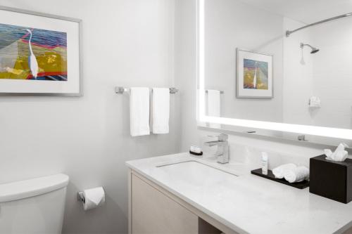Embassy Suites by Hilton Tampa Airport Westshore - image 28