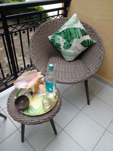 Holidays in Martinique - Ravenala, Sainte-Anne (Foto 9)