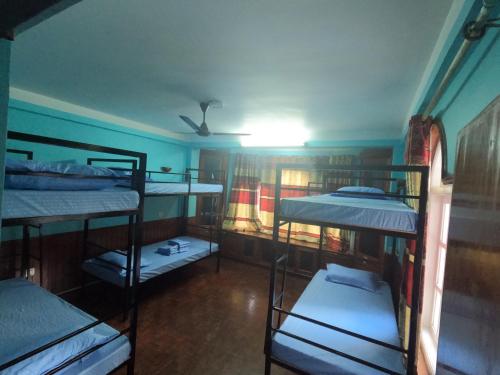 Bed in 6-Bed Mixed Dormitory Room