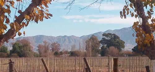 Cabañas El Sauce (Cabanas El Sauce) in Villa General San Martín