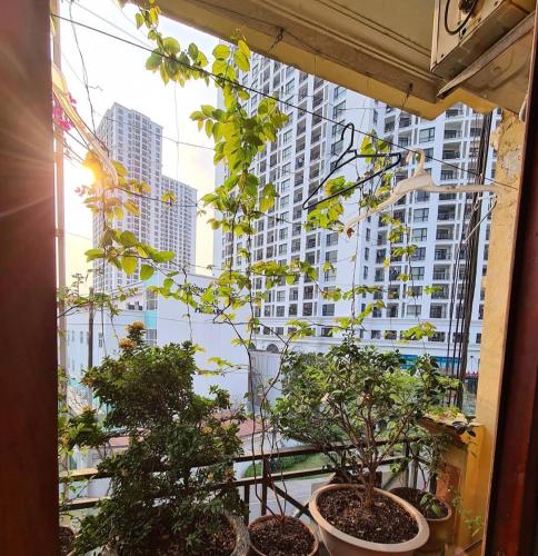 Balcony/terrace, Nha Nghi Huong Thuy - TTTM Royal City in Trung Hoa Nhan Chinh