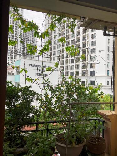 View, Nha Nghi Huong Thuy - TTTM Royal City in Trung Hoa Nhan Chinh
