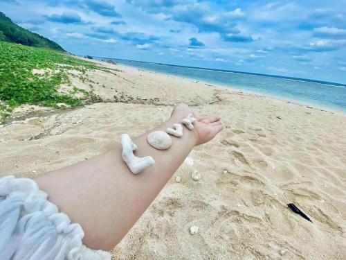 The Ritz Okinawa Kise 2 Villa near the beach with free parking