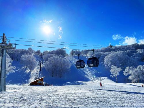 nozawasnow