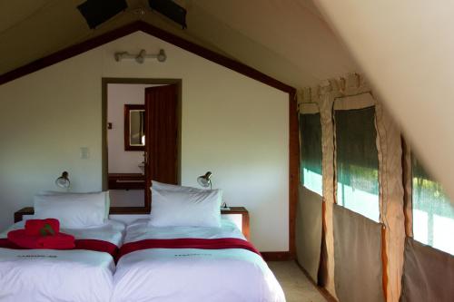 Etosha Safari Camping2Go in Outjo