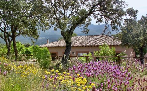 Casa Rural La Joyona