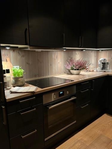 Bualie Golsfjellet in Gol