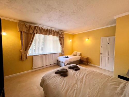 Private Room In Spacious Bungalow Retreat in Bromsgrove