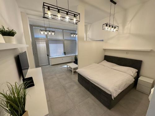 Krásny byt - veľký apartmán v blízkosti centra, Bratislava (photo 8)