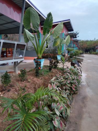 ต.รัตน รีสอร์ท, Ban Don Klang (fotografie 9)