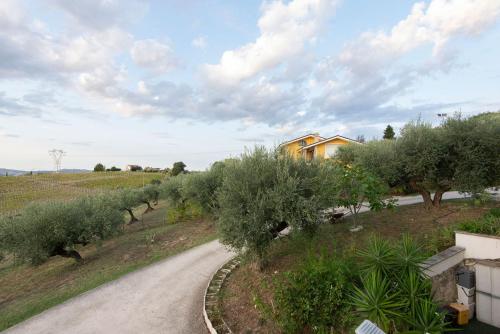  Green Residence Villa Assunta in Moscufo