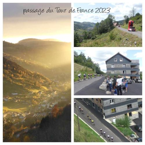 LE MASSIF - Appartement avec vue imprenable - Location saisonnière - La Bresse