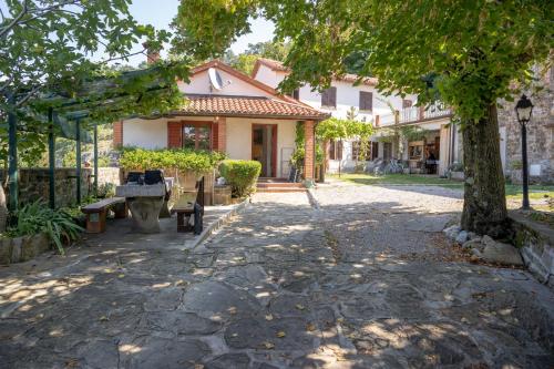 Violet's Place - Vignano