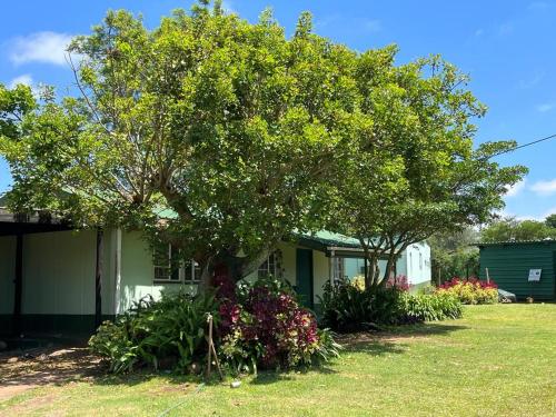 Apkārtne, Elwandle Guest House in Manzini