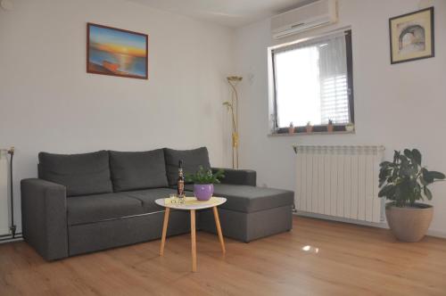 Apartman Mirna