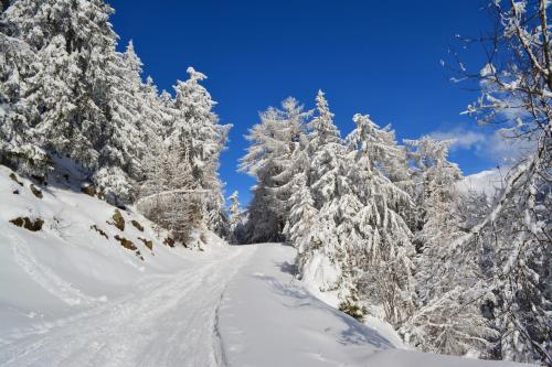 Berghotel Plagött in Sankt Valentin auf der Haide