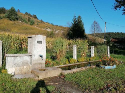 Studio Apartman Barbara in 赫瓦次卡