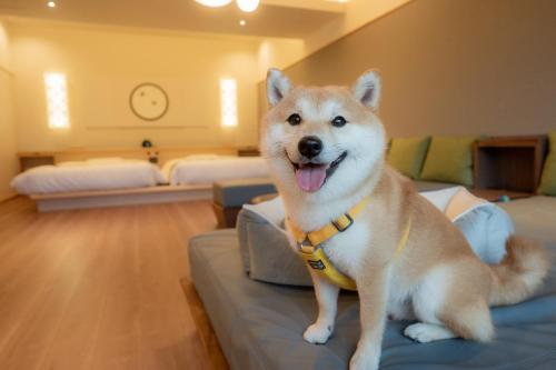 Premium Suite with Semi-Open-Air Bath (Dog-Friendly Room)