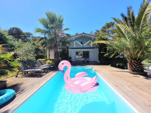 *VILLA PALMA* 5 suites parentales, plage à 600 m, Vieux-Boucau - Location saisonnière - Vieux-Boucau-les-Bains