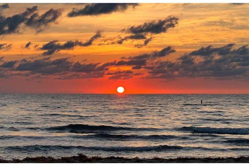 Pearl-By-The-Sea; Private Pool; Walk to the Beach in Fort Lauderdale, USA