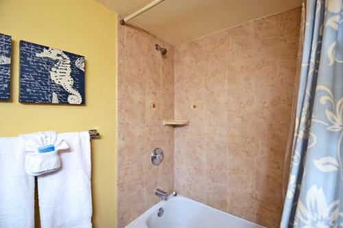 A few steps from the beach with community pool - image 5