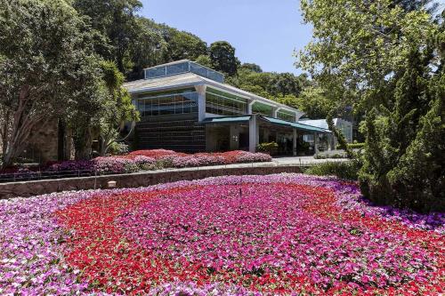 Unique Garden