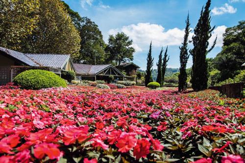 Unique Garden