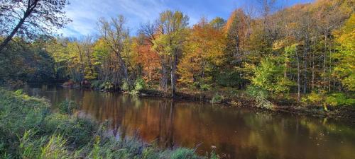 Black River Crossing Bed & Breakfast - image 5