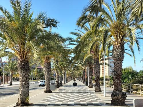 Dune Beach, Arenales del Sol (foto 9)